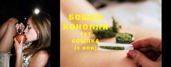 PSILOCYBIN Богородицк